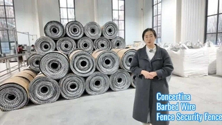 ลวดมีดโกนความปลอดภัยสูงสำหรับผนังบ้าน